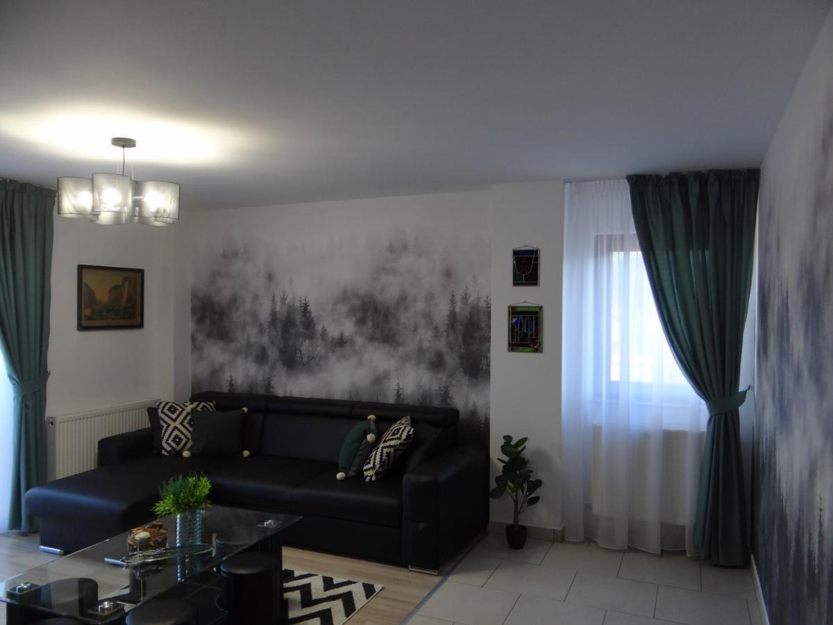 Apartment Rose Gura Humorului