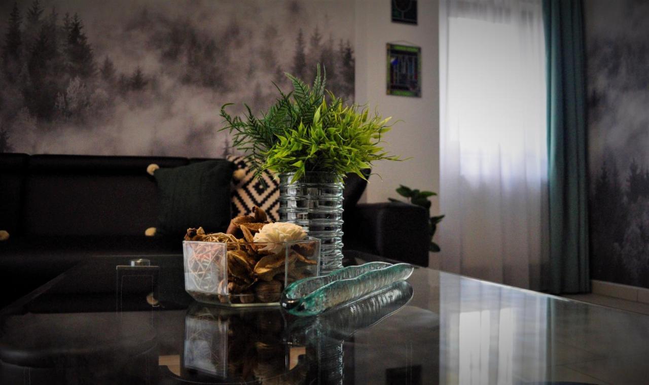 Rose Apartment Gura Humorului