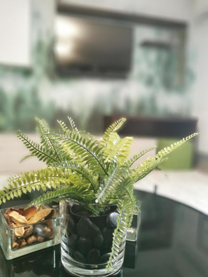 Apartment Rose